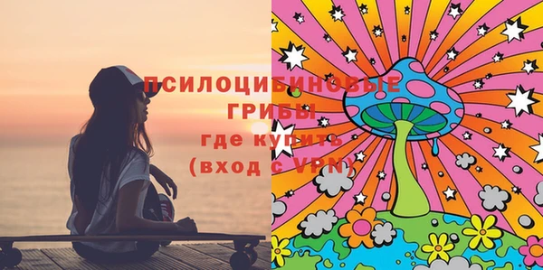 гидропоника Горняк