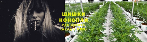 гидропоника Горняк