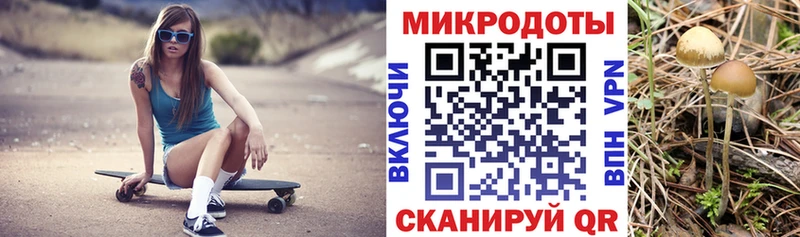 omg ССЫЛКА  Николаевск-на-Амуре  Псилоцибиновые грибы Psilocybine cubensis  как найти закладки 